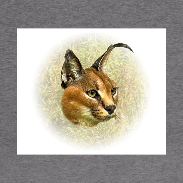 Caracal by Guardi